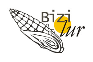 BIZILUR